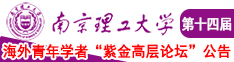 大鸡巴真人内谢视频南京理工大学第十四届海外青年学者紫金论坛诚邀海内外英才！